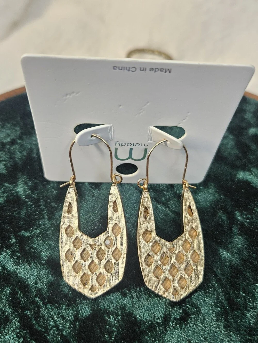 Leopard Print Gold-Trim Drop Earrings - Brown/Black